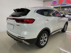 Haval H6 2021 1.5T Automatic Champion Edition - фото 7
