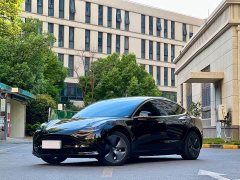 Tesla Model 3 2020 facelift standard range rear-wheel drive upgraded version - фото 1