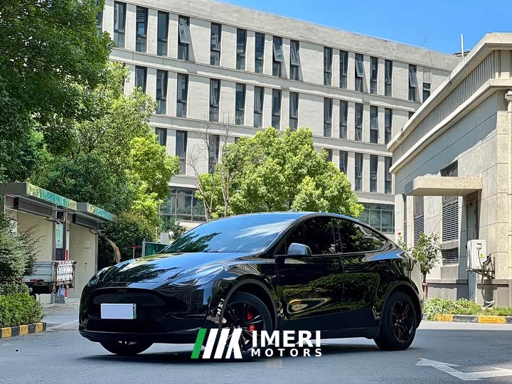 Tesla Model Y 2022 rear-wheel drive version - автомобиль из Китая