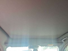 Li Auto Ideal L6 Pro - фото 12