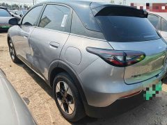 Geely Star Wishes 2025 UP 410km Discovery Edition - фото 9