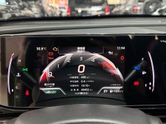 Trumpchi Shadow Leopard 2021 270T DCT J15 version - фото 13