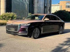 Hongqi H9 2.0T Zhilian Qichang Edition - фото 1
