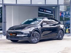Tesla Model Y rear-wheel drive version - фото 1
