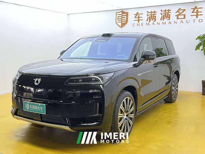 Denza N9 Honor Type