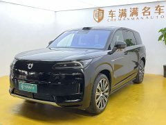 Denza N9 Honor Type - фото 1