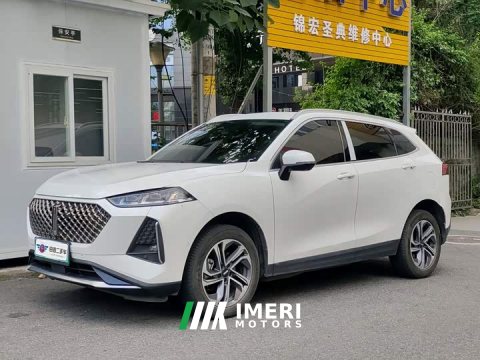 2022 Macchiato DHT 2021 1.5L DHT Master Edition - автомобиль из Китая