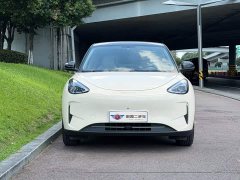 Geely Star Wishes UP 410km Discovery Edition - фото 2