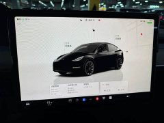 Tesla Model Y 2022 Refresh RWD - фото 8