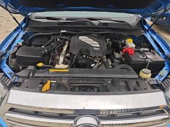 Ruiqi 6 2021 2.3T automatic two-wheel drive diesel luxury long cargo box M9T - фото 20