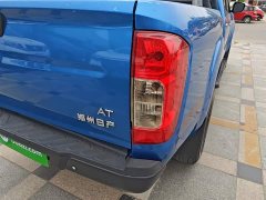 Ruiqi 6 2021 2.3T automatic two-wheel drive diesel luxury long cargo box M9T - фото 8