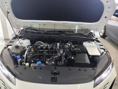 Changan Eado Blue Whale 1.5T 500Bar flagship - фото 20