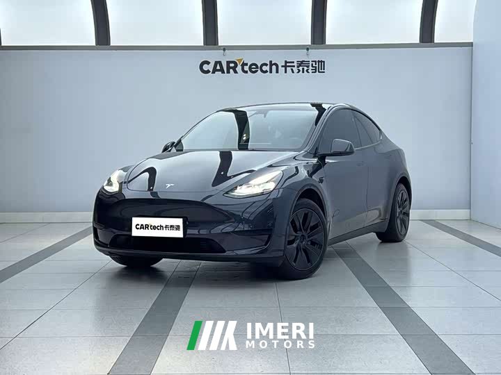 Tesla Model Y rear-wheel drive version - автомобиль из Китая