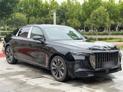 Hongqi H9 2024 2.0T Qichang Private Fashion Edition - фото 8