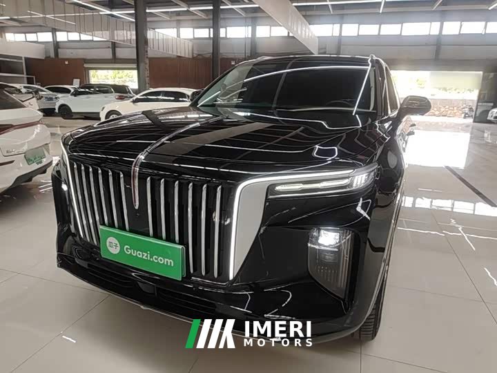 Hongqi E-HS9 660km Qichang version six seats - автомобиль из Китая