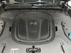 Hongqi E-HS9 660km Qichang version six seats - фото 20