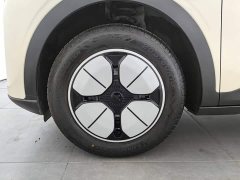 Geely Star Wishes 310km Youth Edition - фото 17