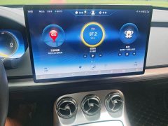 Denza X 2020 PHEV Classic Edition - фото 10