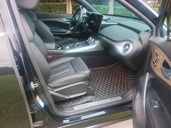 Denza X 2020 PHEV Classic Edition - фото 16