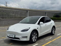 Tesla Model Y rear-wheel drive version - фото 1