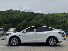 Tesla Model Y rear-wheel drive version - фото 20