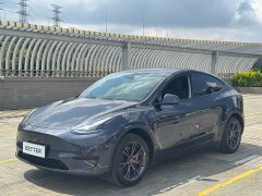 Tesla Model Y rear-wheel drive version - фото 1