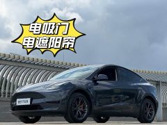 Tesla Model Y rear-wheel drive version - фото 2