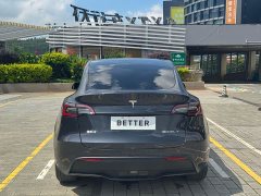Tesla Model Y rear-wheel drive version - фото 7