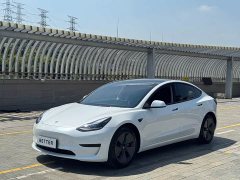 Tesla Model 3 rear-wheel drive version - фото 1
