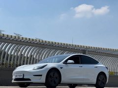 Tesla Model 3 rear-wheel drive version - фото 13