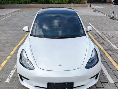 Tesla Model 3 rear-wheel drive version - фото 15