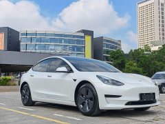 Tesla Model 3 rear-wheel drive version - фото 16
