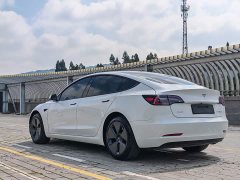Tesla Model 3 rear-wheel drive version - фото 19