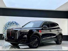 Hongqi HS5 2.0T two-wheel drive Qixiang Pro version - фото 1