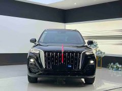Hongqi HS5 2.0T two-wheel drive Qixiang Pro version - фото 2