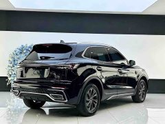 Hongqi HS5 2.0T two-wheel drive Qixiang Pro version - фото 9