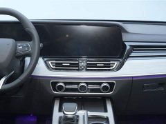 Hongqi HS5 2.0T two-wheel drive Qixiang Pro version - фото 15