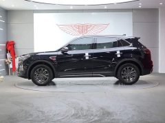 Hongqi HS5 2.0T two-wheel drive Qixiang Pro version - фото 4