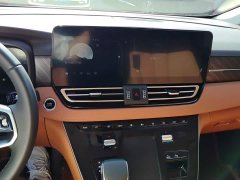 Hongqi HQ9 PHEV 2024 2.0T AWD Business Edition - фото 13