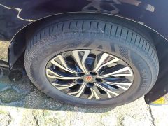 Hongqi HQ9 PHEV 2024 2.0T AWD Business Edition - фото 6