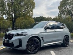 BMW X3 M 2022 X3 M Thunder Edition - фото 1