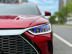 BYD Song PLUS New Energy 2021 DM-i 51KM Honor Type - фото 4