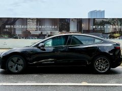 Tesla Model 3 2022 Rear-Wheel Drive - фото 11