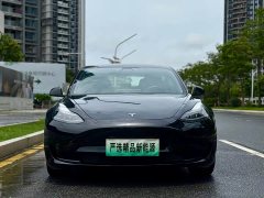 Tesla Model 3 2022 Rear-Wheel Drive - фото 2