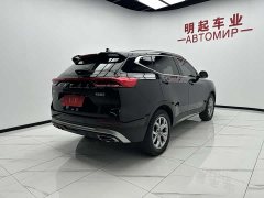 Haval H6 2021 Guochao Edition 1.5T Automatic Champion Edition - фото 9