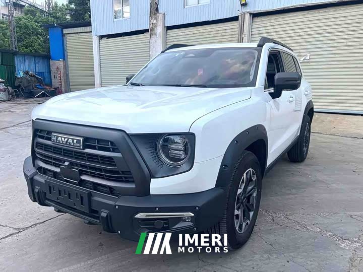 Havaldog 2.0T DCT Chinese Pastoral Dog Edition - автомобиль из Китая