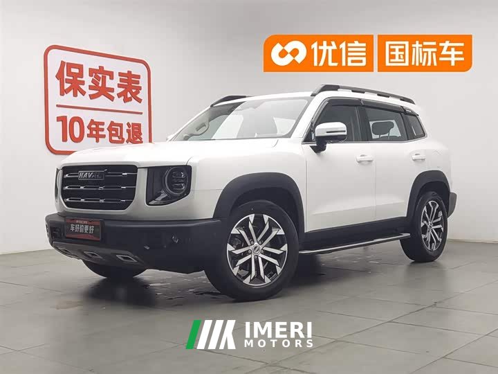 Havaldog 1.5T DCT two-wheel drive horse dog-Wangcai version - автомобиль из Китая