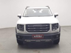 Havaldog 1.5T DCT two-wheel drive horse dog-Wangcai version - фото 3