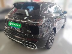 Hongqi HS5 2.0T AWD Qixiang Pro Edition - фото 12