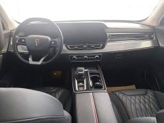 Hongqi HS5 2.0T AWD Qixiang Pro Edition - фото 16